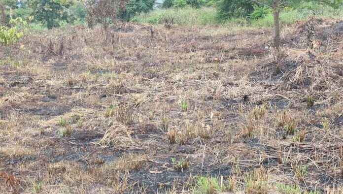 drought farm drought farm