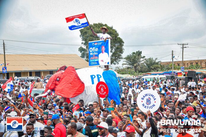 NPP supporters