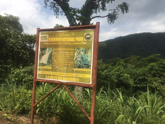 Kyabobo Forest Reserve