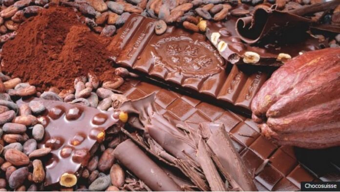 cocoa1 (Copy)