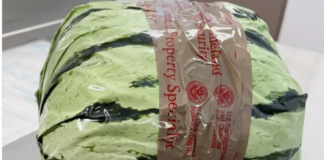 CBP | The drugs were concealed in coloured wrapping to resemble watermelons