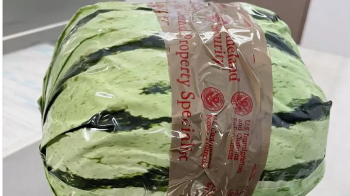CBP | The drugs were concealed in coloured wrapping to resemble watermelons CBP | The drugs were concealed in coloured wrapping to resemble watermelons