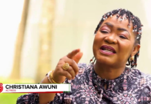 I’m not greedy so I won’t campaign for NPP – Christiana Awuni