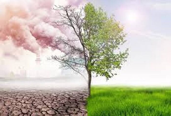 imagAfrican experts say IPCC report stresses need for more actions on climate change | Ghana Environment