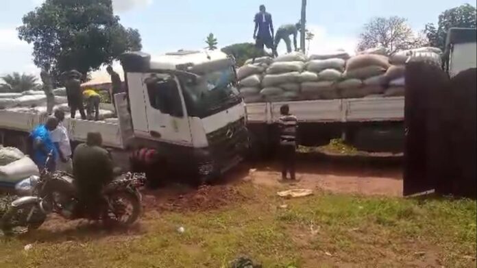 NIB cocoa smuggling
