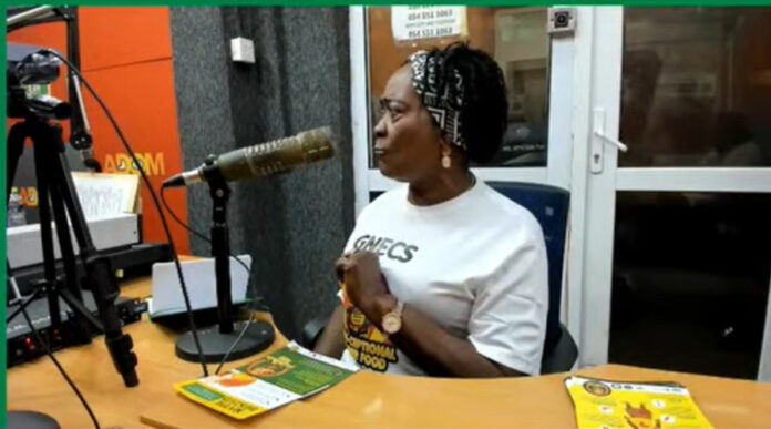 National Coordinator of GNECS, Comfort Kyerewaa Acheampong, National Coordinator of GNECS, Comfort Kyerewaa Acheampong,