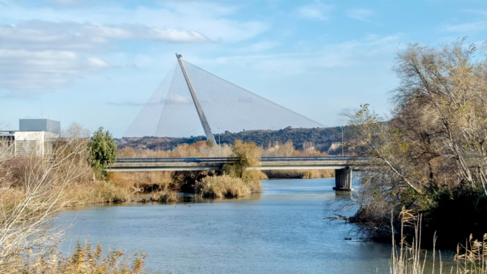 The Castilla-La Mancha bridge is the tallest in Spain. Panther Media GmbH/Alamy The Castilla-La Mancha bridge is the tallest in Spain. Panther Media GmbH/Alamy