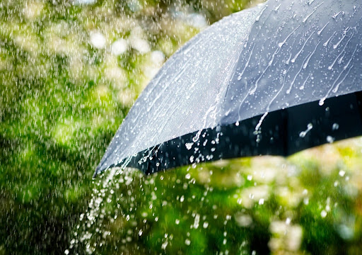 Rain logo