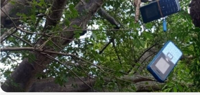 phone tree