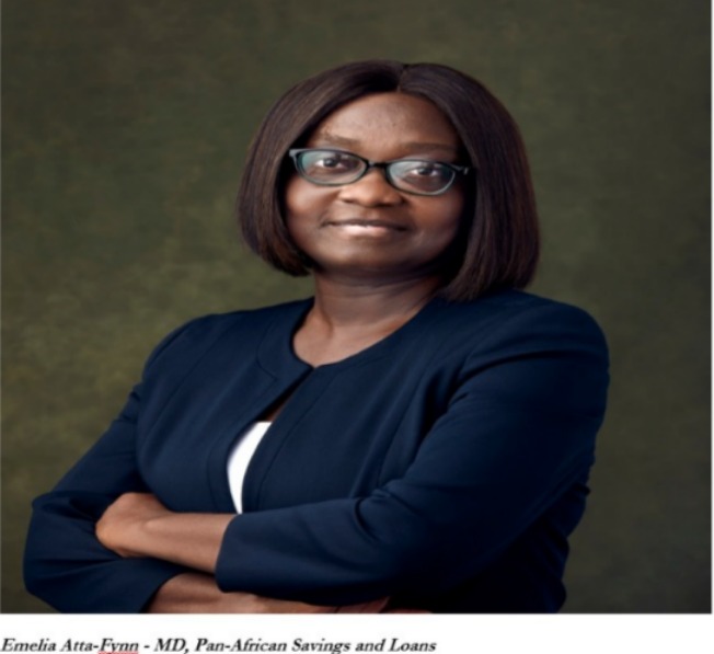 Pan African Savings and Loans