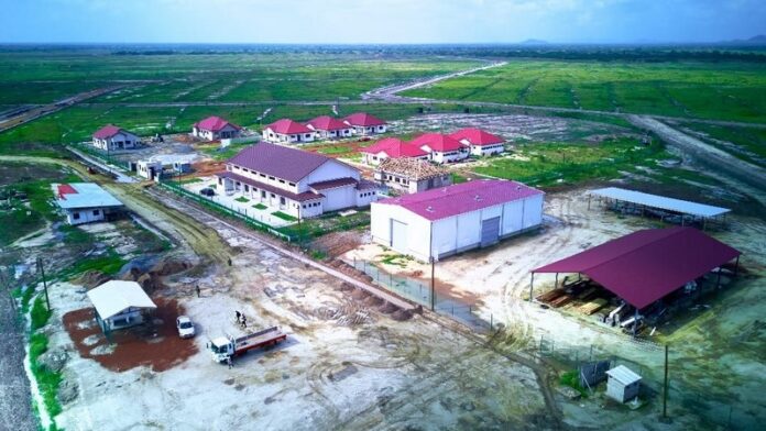 d179eb03-ddf1-43a6-9894-23b6475ef559 (Copy)