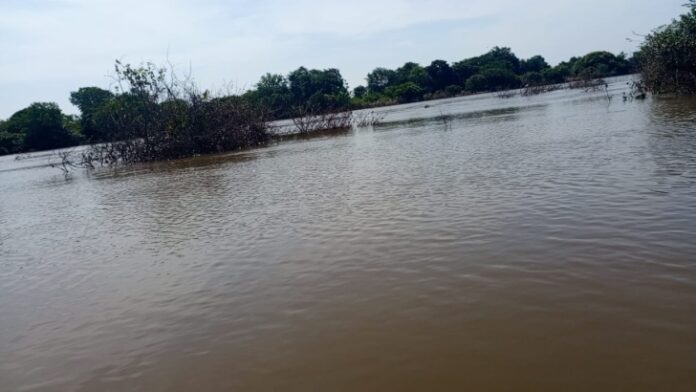 saboba18