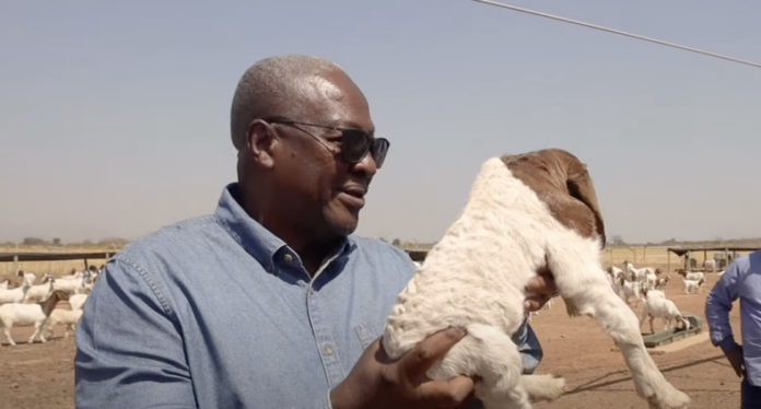 Mahama farm
