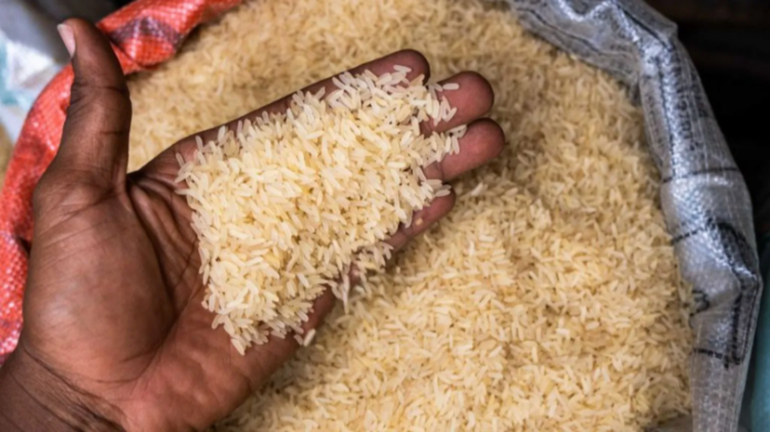 Rice