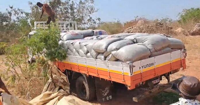 cocoa smuggling cocoa smuggling