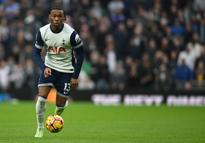 English Premier League - Tottenham Hotspur vs Fulham