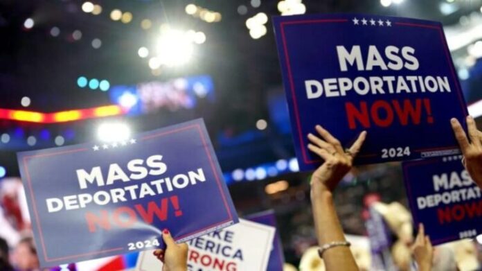 Trump mass deportation