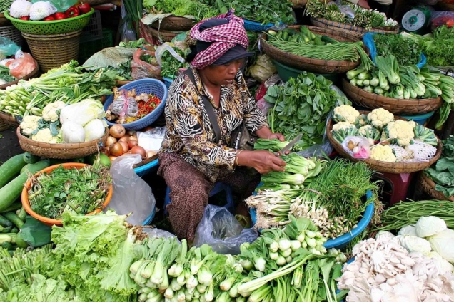 Vegetable-Pix-636x424