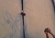 National Peace Council condemns destruction of offices and looting of warehouses