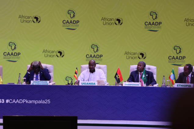 African Union