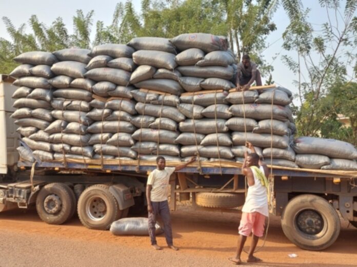 Crime-Cocoa-Smuggling