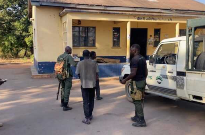 Three arrested for poaching in Mole Game Reserve Three arrested for poaching in Mole Game Reserve
