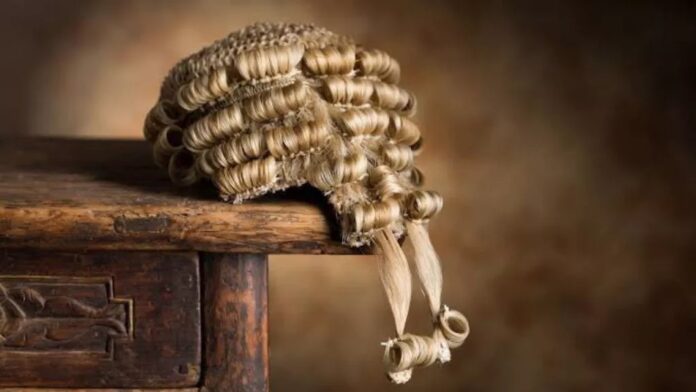Lawyers wig