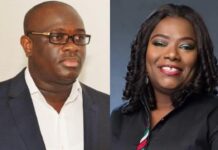 Mahama appoints Stan Dogbe, Nana Oye as Deputy Chiefs of Staff