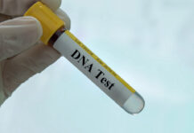 Paternity crisis: 1 in 4 Nigerian fathers not biological parents – Report