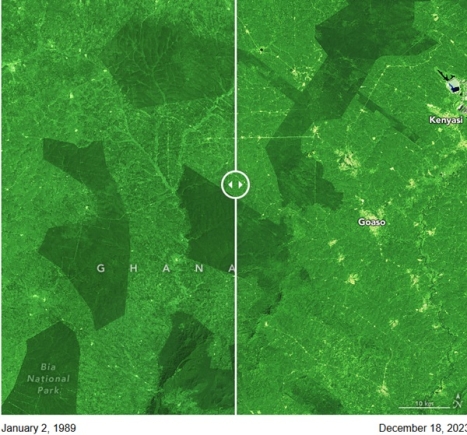 NASA forest reserve
