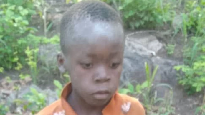 Tinotenda Pudu, 7, disappeared from his village in northwestern Zimbabwe. Mutsa Murombedzi/X Tinotenda Pudu, 7, disappeared from his village in northwestern Zimbabwe. Mutsa Murombedzi/X