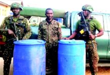 Immigration foils another cocoa smuggling attempt