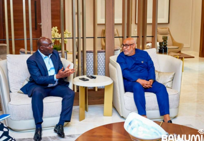 Former Vice President Dr. Mahamudu Bawumia and UN Resident Coordinator in Ghana, Charles Abani during their meeting Former Vice President Dr. Mahamudu Bawumia and UN Resident Coordinator in Ghana, Charles Abani during their meeting