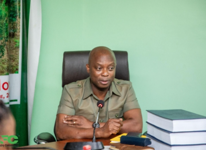 Timber Industry hails Mahama’s appointment of new Forestry Commission CEO Timber Industry hails Mahama’s appointment of new Forestry Commission CEO