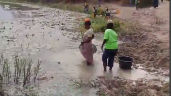 Gulumpe residents forced to share water with livestock Gulumpe residents forced to share water with livestock