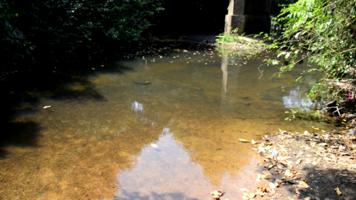 Water-scarcity-in-Agotime-Ziope-Adaklu-Districts-to-worsen-as-Tordze-get-polluted-2-754x424