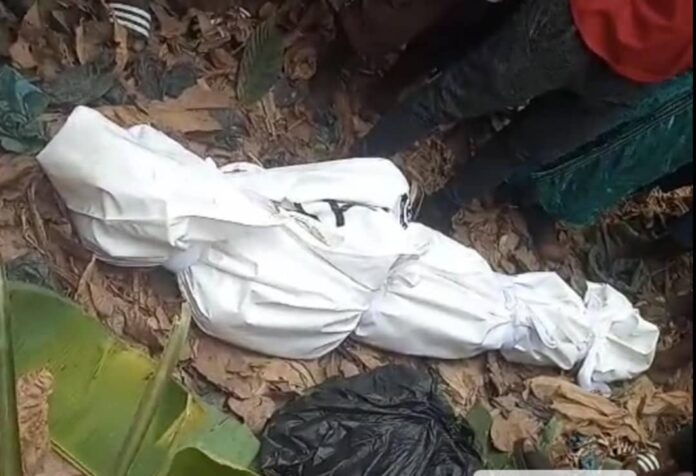 dead body