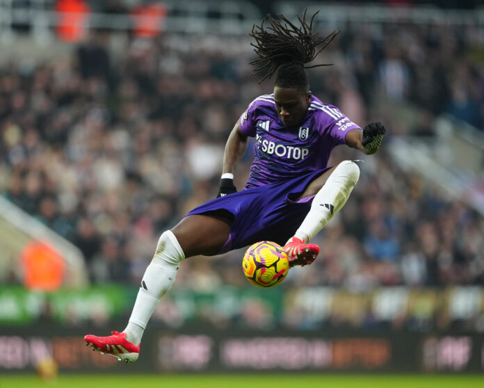 Newcastle United v Fulham - Premier League - St James' Park