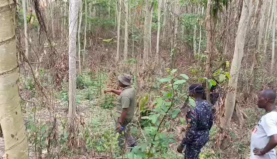 C/R Minister hands over 100 acres of land to 30 former galamsey operators for farming
