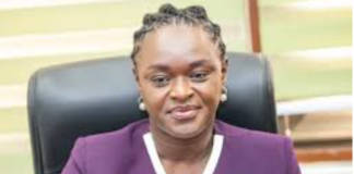 EPA Chief Executive Officer, Prof Nana Ama Browne Klutse