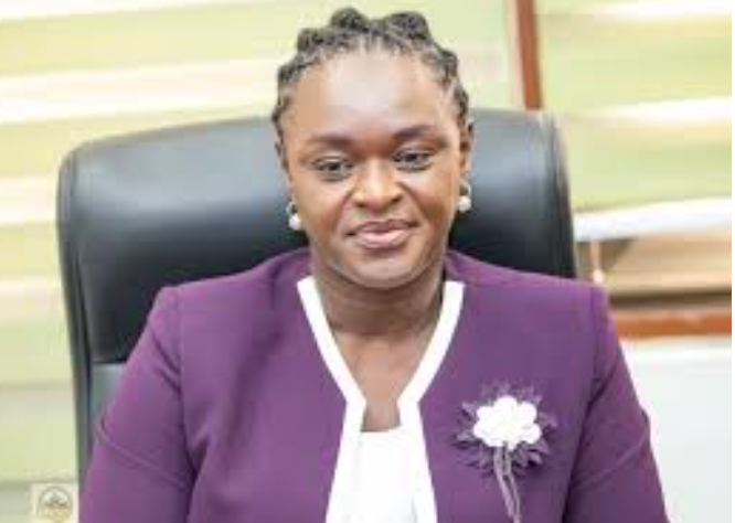 EPA Chief Executive Officer, Prof Nana Ama Browne Klutse EPA Chief Executive Officer, Prof Nana Ama Browne Klutse
