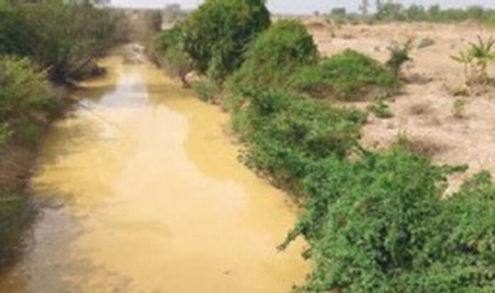 The current state of the popular Tain River, which has turned yellowish