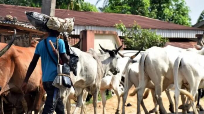 Herdsmen-759x424 (Copy)