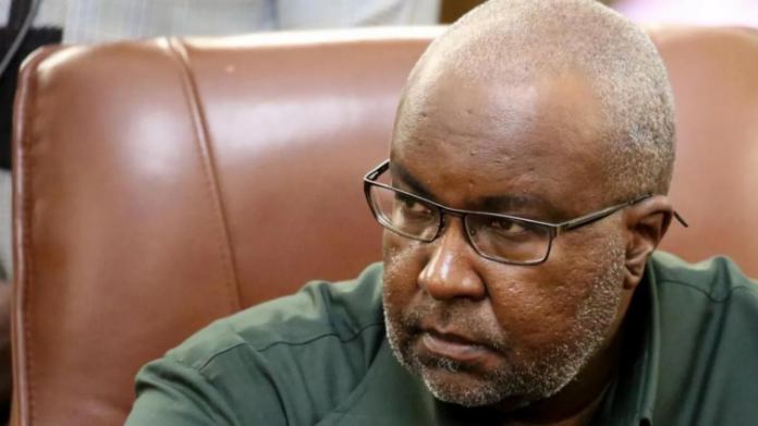 Namibian Minister
