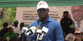 Minister for Energy and Green Transition, John Jinapor