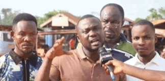 Asunafo North MP raises alarm over illegal logging in Kasapin