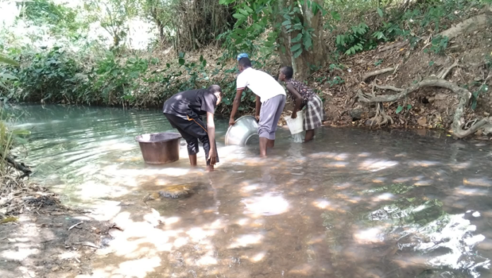 Lack of potable water force Leklebi Agbesia residents to drinks from contaminated stream