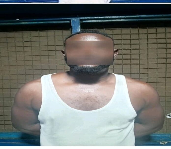 vehicle theft kingpin