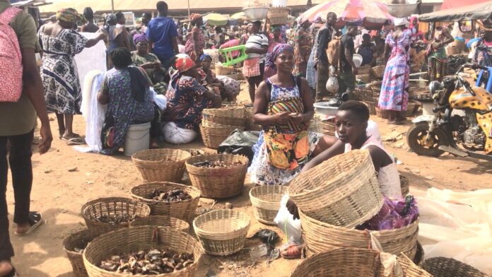 FISH SELLERS AT DAMBAI MARKET CALL FOR SHELTERS TO PROTECT AGAINST ILLNESSES