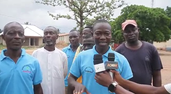 Akoase Cocoa Farmers Clash with Illegal Miners Over Destruction of Seedlings